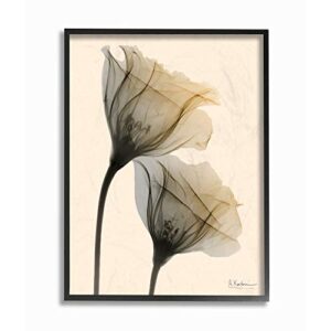 stupell industries neutral light flower photograph, design by albert koetsier wall art, 16 x 20, black framed