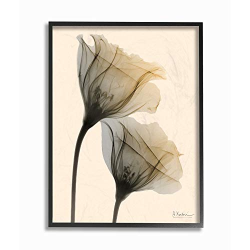 Stupell Industries Neutral Light Flower Photograph, Design by Albert Koetsier Wall Art, 16 x 20, Black Framed