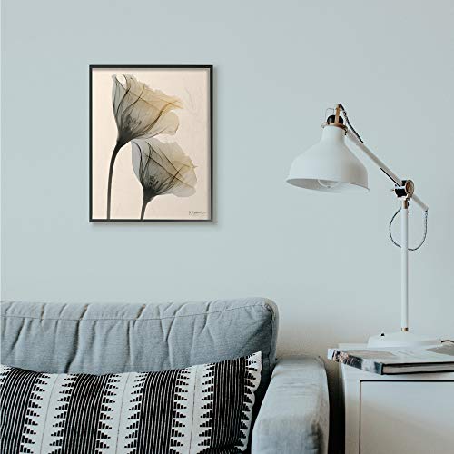 Stupell Industries Neutral Light Flower Photograph, Design by Albert Koetsier Wall Art, 16 x 20, Black Framed