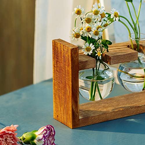 Glasseam Propagation Stations Plant Terrarium, Glass Bud Bulb Vase with Wooden Stand Propagate Station Propogation Jars Desktop Hydroponic Planter Air Plants Containers Tabletop for Indoor Flower