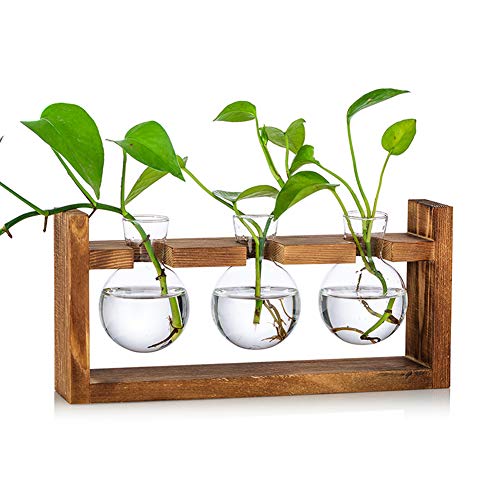 Glasseam Propagation Stations Plant Terrarium, Glass Bud Bulb Vase with Wooden Stand Propagate Station Propogation Jars Desktop Hydroponic Planter Air Plants Containers Tabletop for Indoor Flower