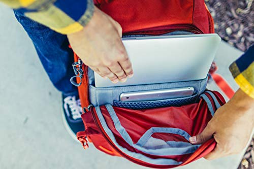 Gregory Men's Backpack, Orange (Ferrous Orange), One Size