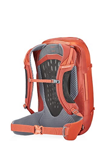 Gregory Men's Backpack, Orange (Ferrous Orange), One Size