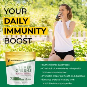 Super Greens Superfood Green Juice Powder - Immune & Energy Support | Made with Natural Ingredients | Detoxifying & Alkalizing Minerals - Spirulina, Chlorella, Wheatgrass, Spinach, Alfalfa & More (1)