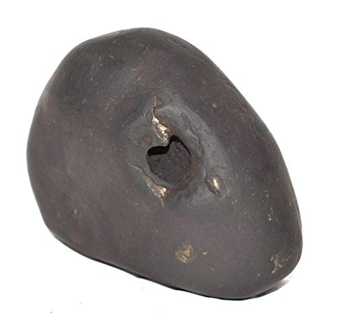 Rudrakshguru Rama Shaligram - Gandaki River Nepal