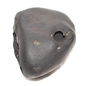 Rudrakshguru Rama Shaligram - Gandaki River Nepal