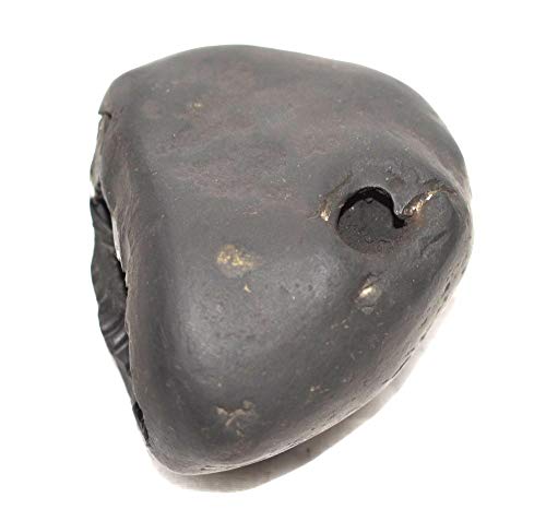 Rudrakshguru Rama Shaligram - Gandaki River Nepal