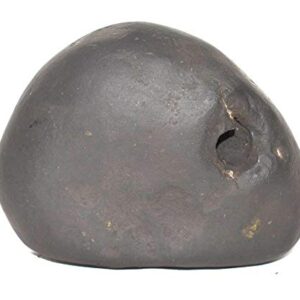 Rudrakshguru Rama Shaligram - Gandaki River Nepal