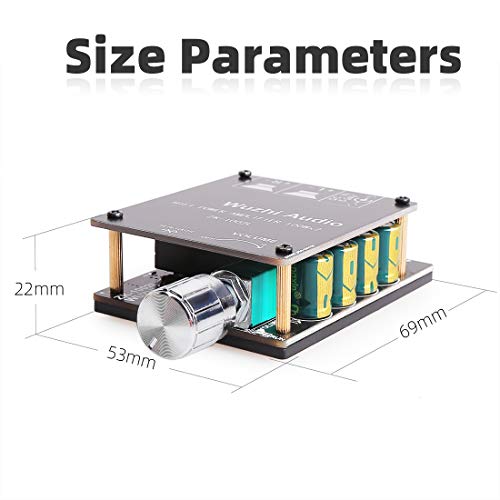 DAMGOO Bluetooth Amplifier Board, 100W+100W Peak Output Power, 2.0 Channel DC:8-24V, Password Free Connect, BT 5.0 AMP Board for DIY Wireless Speakers Board