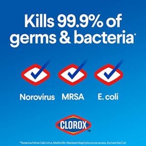 Clorox Disinfecting Bleach, Concentrated Formula, Regular - 43 Ounce Bottle (Package May Vary)