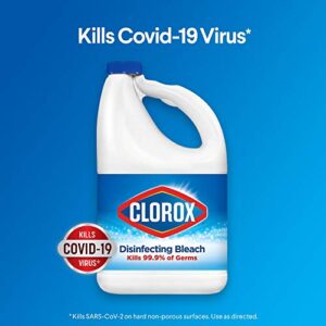 Clorox Disinfecting Bleach, Concentrated Formula, Regular - 43 Ounce Bottle (Package May Vary)