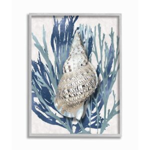 stupell industries shell coral blue beach design, designed by caroline kelly wall art, 11 x 14, grey framed