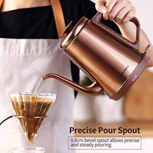 DmofwHi 1000W Gooseneck Electric Kettle (1.0L),100% Stainless Steel BPA Free Tea Kettle with Auto Shut - Off Protection, Pour Over Coffee Kettle -Copper