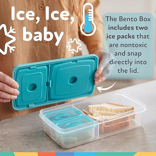 Nuby Insulated Bento Box Lunchbox, Boy