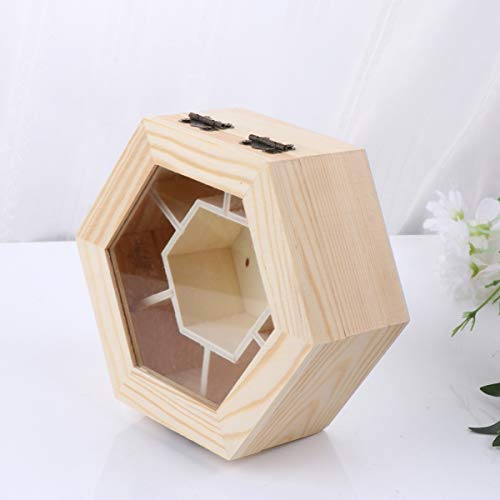 EXCEART Unfinished Wooden Jewelry Box Hexagon DIY Trinket Storage Box Blank Keepsake Organizer 7 Compartments Clear Top Craft Gift Box with Locking Clasp for Art Craft Home Decor