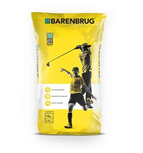 barenbrug turf saver rtf grass seed with yellow jacket seed coating - less water self-repairing tall fescue turf for use on sports field, golf courses, parks, lawns, and yard (10 lb bag)