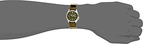 SEIKO Men's 5 Sports Stainless Steel Automatic Watch with Nylon Strap, Green, 22 (Model: SRPE65)