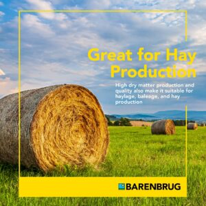 Barenbrug Beefmaster Premium Cattle Pasture Grass and Forage Seed Mix, 25 lbs. (25 LB Bag)