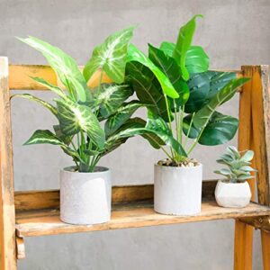 Der Rose 2 Pack Fake Plants Artificial Potted Faux Plants for Office Desk Home Farmhouse Decor