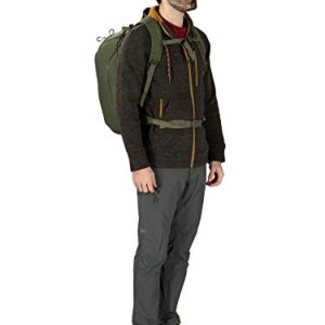 Osprey Porter 30L Travel Backpack, Haybale Green One Size