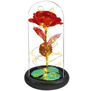 jeekgsk gifts for women gifts for her light up rose in glass dome roses flower xmas gifts for mom valentine's day gifts wedding anniversary thanksgiving (red)