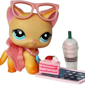 LPS Accessories Lot Laptop Glasses Skirt Collar Cake Food Drink Pink Outfit Set for lps Rare Figures Shorthair Cats and Collie Great Dane Cocker Spaniel Dogs 6 PCS (Cat Not Included)