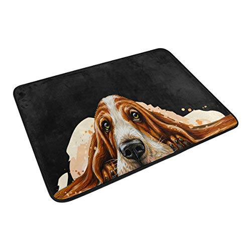 ALAZA Dog Breed Basset Hound Doormat Non Slip Floor Mat Indoor Outdoor Entrance Bedroom Dorm Door Mat Home Decor 23.6x15.7 Inches