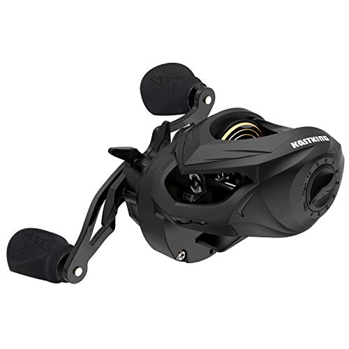 KastKing Valiant Eagle Baitcasting Reel, 6.6:1 Gear Ratio Right Handed Baitcaster Fishing Reel