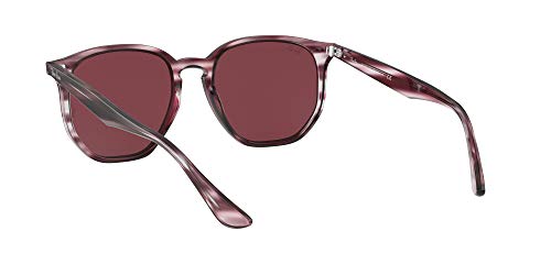 Ray-Ban RB4306 Hexagonal Sunglasses, Striped Bordeaux Havana/Dark Violet, 54 mm