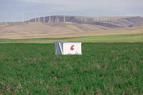 Alfalfa Seeds- Regenerative Cover Crop- Premium Certified Non-GMO Alfalfa Seeds - 1 Lb - High Germination, Conventional Alfalfa Seed -Garden Seed, Cover Crop, Field Growing, Alfalfa Hay, Alfalfa Honey