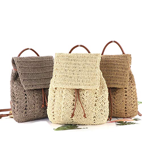 Kennedy Handwoven Flap Drawstring Straw Backpack Beach Backpack Purse for Women, Brown