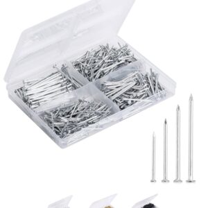 Mr. Pen- Nail Assortment Kit, 600pc, Small Nails, Nails, Nails for Hanging Pictures, Picture Hanging Nails, Finishing Nails, Hanging Nails, Picture Nails, Wall Nails for Hanging, Pin Nails