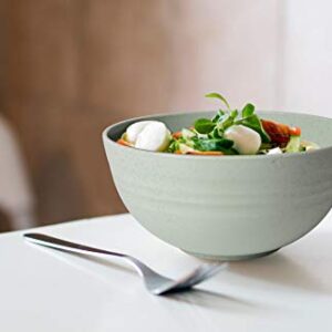 Flux Kitchenware Unbreakable Cereal Bowls - Wheat Straw Fiber - Lightweight Bowl - Dishwasher Microwave Safe - BPA Free - Ideal for Cereal Salad Soup Noodle Rice Fruit Dessert (4 Pieces)
