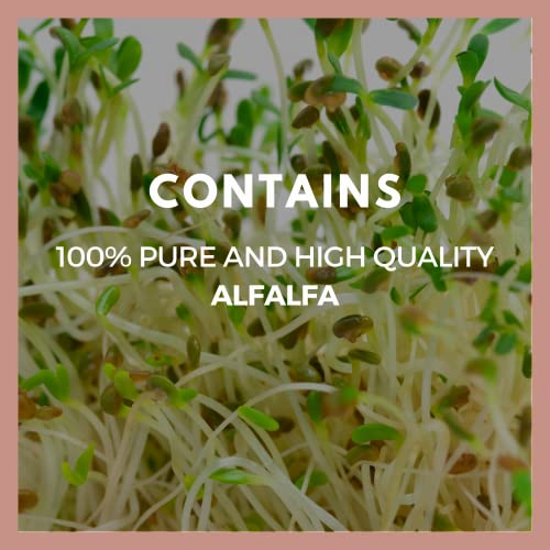 Remedy's nutrition Alfalfa 1,000mg Vegan Capsules Herbal Supplement - Non-GMO, Gluten Free, Dairy Free - Two Month Supply (60 Count)