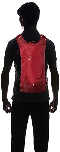 Salomon Trailblazer 10 Backpack, Chili Pepper/Red Dahlia/Ebony