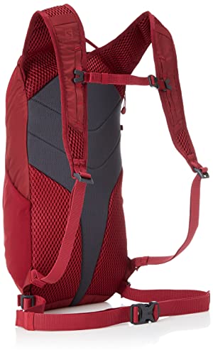 Salomon Trailblazer 10 Backpack, Chili Pepper/Red Dahlia/Ebony