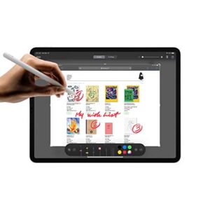 2020 Apple iPad Pro 2nd Gen (11 inch, Wi-Fi + Cellular, 256GB) Space Gray (Renewed)