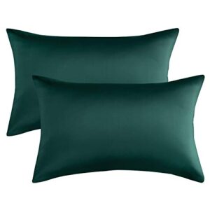 qeeruim home satin pillowcase for hair and skin, 2-pack - queen size (20x30 inches) silk pillow cases - satin pillow covers with envelope closure, green