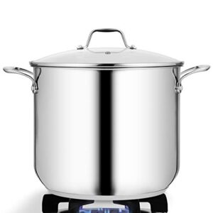 nutrichef 19-quart stainless steel stock pot - 18/8 food grade heavy duty induction large stock pot, stew pot, simmering pot, soup pot with see through lid, dishwasher safe - nutrichef ncsp20