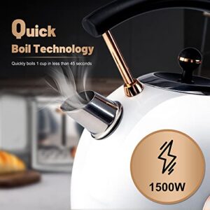 Pukomc Retro Electric Kettle Stainless Steel 1.8L Tea Kettle, Hot Water Boiler with Temperature Gauge, Led Light, Fast Boiling, Auto Shut-Off&Boil-Dry Protection (White)