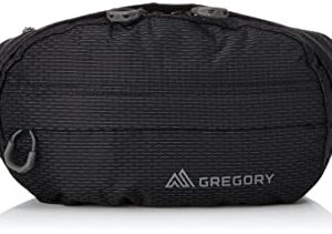 Gregory Mountain Products Nano Waistpack, Obsidian Black, One Size