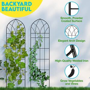 Gray Bunny Garden Trellis for Climbing Plants Outdoor - 2 Pack - 58" x 16" Cucumber Trellis, Rust Proof Metal Trellis for Tomatoes, Vines, Flower Beds, Roses