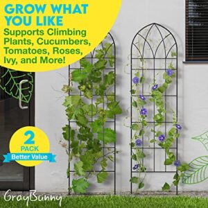 Gray Bunny Garden Trellis for Climbing Plants Outdoor - 2 Pack - 58" x 16" Cucumber Trellis, Rust Proof Metal Trellis for Tomatoes, Vines, Flower Beds, Roses