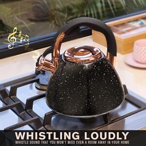 Tea Kettle Stovetop Whistling, 3 QT, Q-Cool Handle, Surgical Grade Stainless Steel Teapot, Compatible with all Stovetops, Beautiful Stone and Copper Finish, Modern Kettle