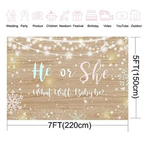 Avezano Winter Gender Reveal Backdrop, 7x5ft Vinyl Rustic Wood Snowflake Gender Reveal Party Decorations Twinkle Lights Gender Reveal Banner Photography Background