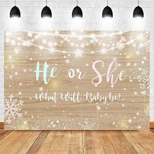 Avezano Winter Gender Reveal Backdrop, 7x5ft Vinyl Rustic Wood Snowflake Gender Reveal Party Decorations Twinkle Lights Gender Reveal Banner Photography Background