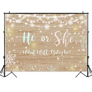 Avezano Winter Gender Reveal Backdrop, 7x5ft Vinyl Rustic Wood Snowflake Gender Reveal Party Decorations Twinkle Lights Gender Reveal Banner Photography Background