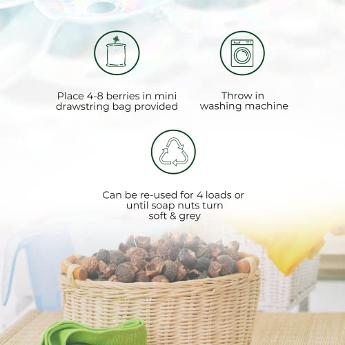 Soap Nuts Berries for Laundry 330 Loads Over 2.2 Lbs - Natures Alternative Soap Nuts Laundry Detergent with Burlap Backpack - Hypoallergenic & Unscented Laundry Soap Nuts Bulk - Natural & Eco-Friendly