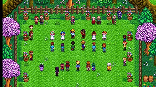 Stardew Valley (Nintendo Switch)