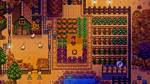 Stardew Valley (Nintendo Switch)